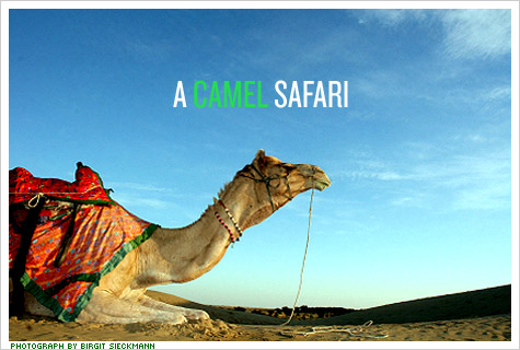The Green Traveler: Seven Offbeat Eco Trips
