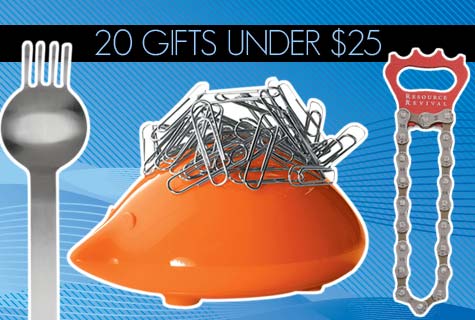 20 Gifts Under $25