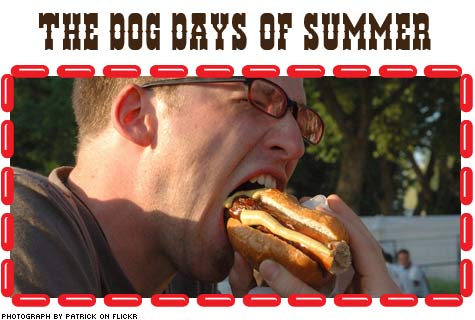 Inside the Bun: The Business of Selling Hot Dogs