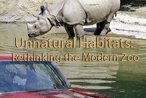 Unnatural Habitats: Rethinking the Modern Zoo