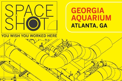 Space Shot: Georgia Aquarium