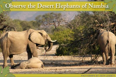 Voluntourism: 14 Vacations for the Socially Conscious