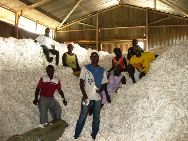 Ugandan organic cotton