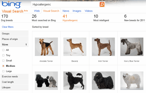 dogs breeds that don. Bing results for dog breeds