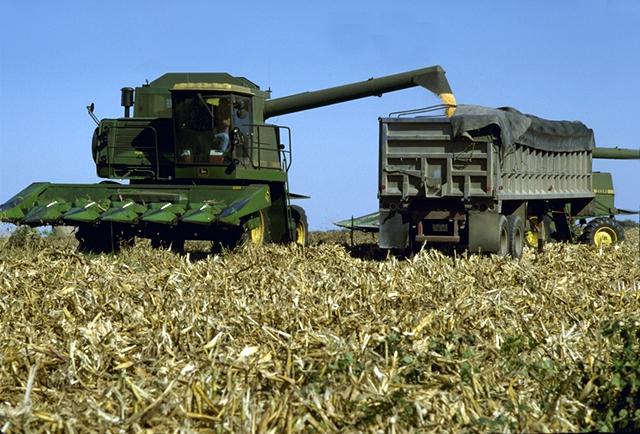 combine harvesting