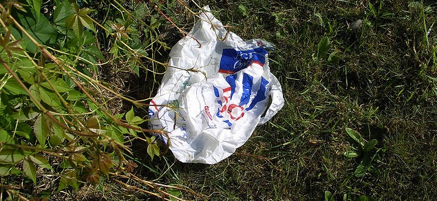 discarded plastic bag