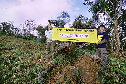 Greenpeace protest against Sinar Mas