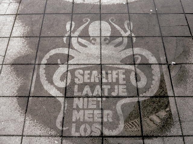 Octopus-Ad
