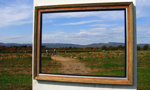 picture frame