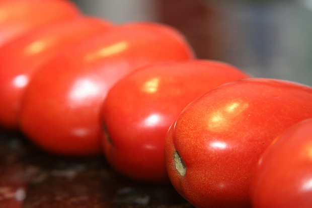 tomatoes
