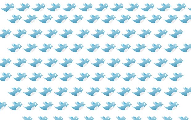 Twitter birds