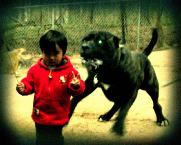 kid being chased by dog