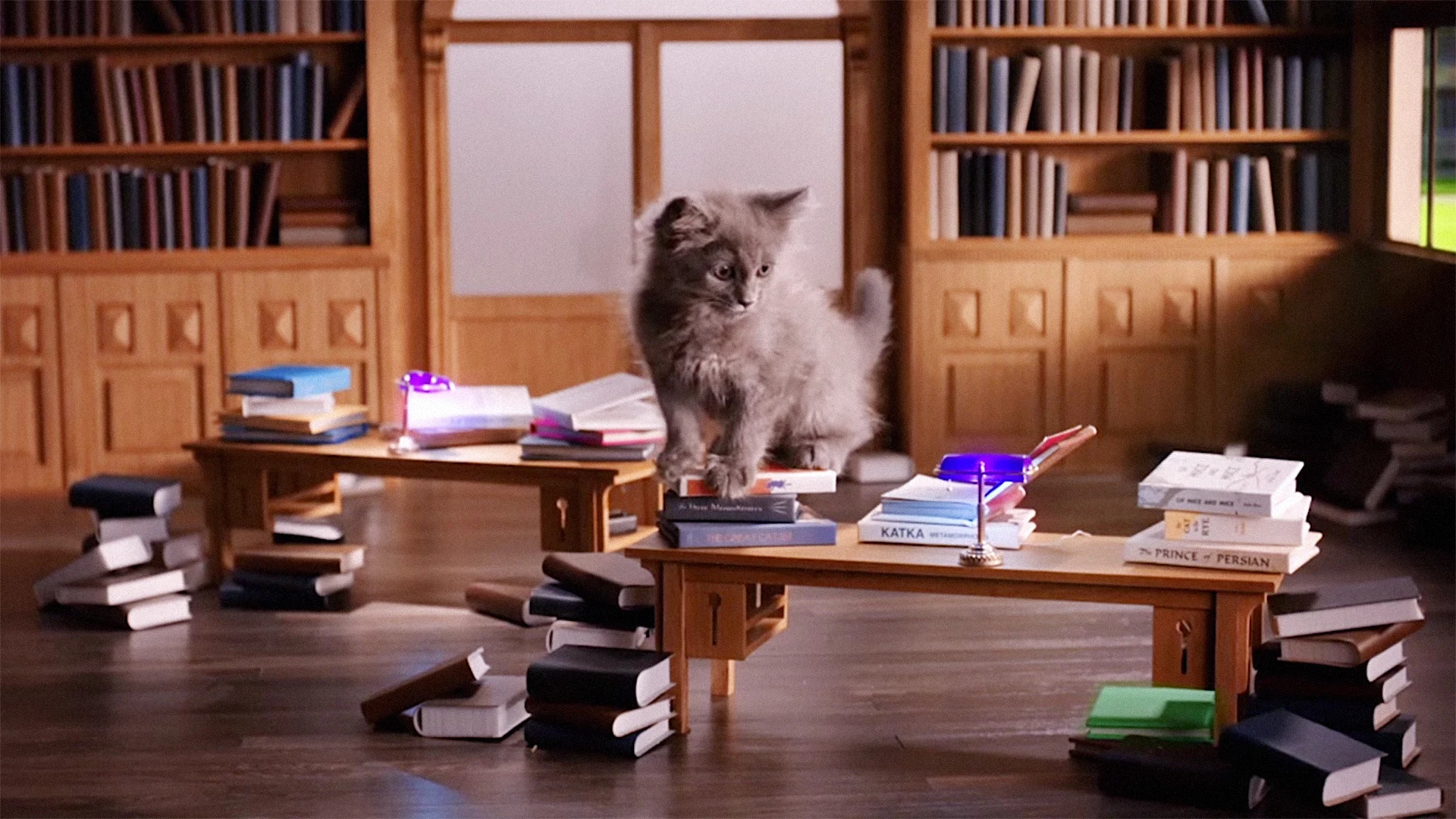 Whiskas Opens "Kitten Kollege" To Help Us Through The Milestones Of