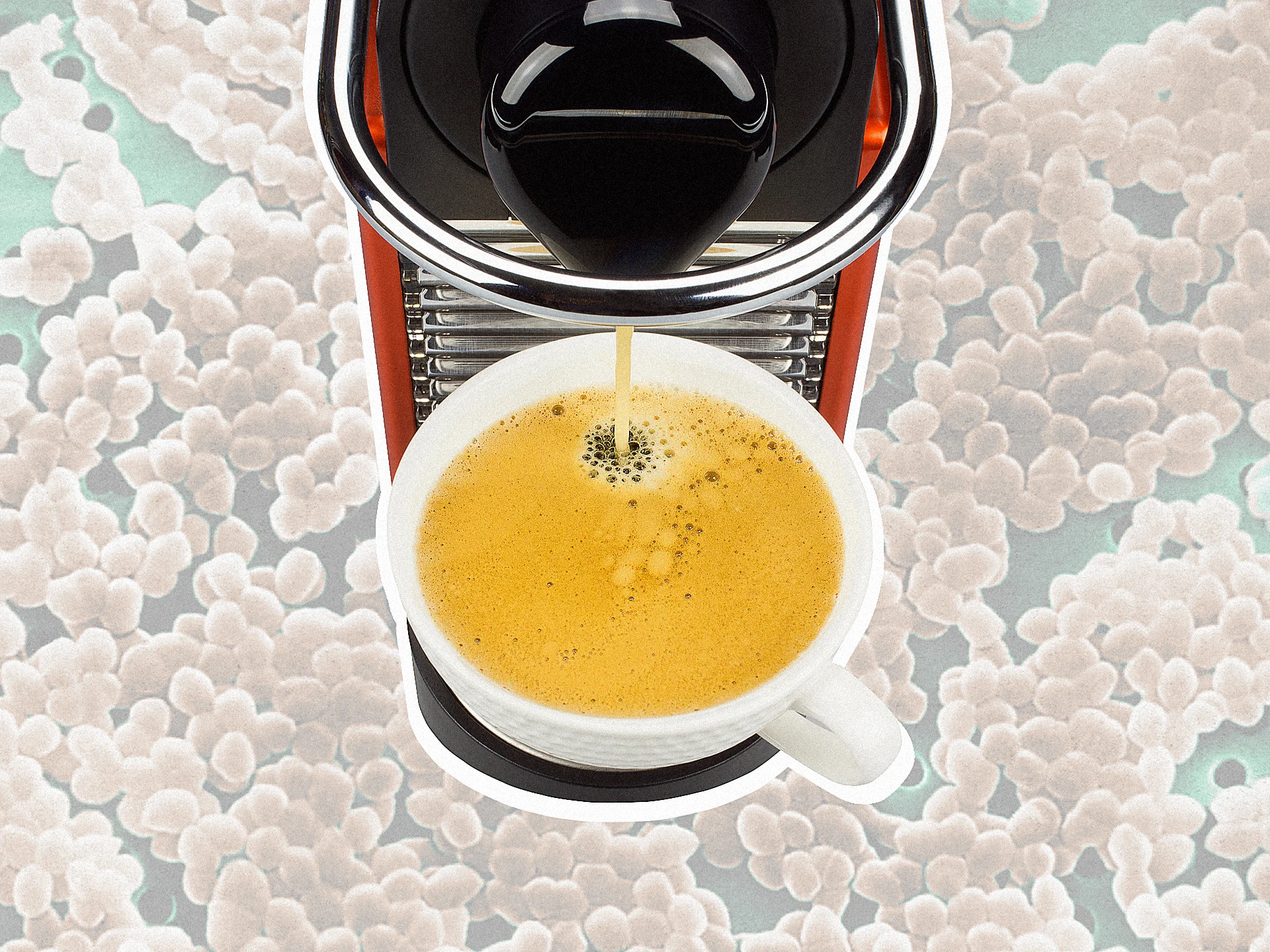 Your Coffee Maker Is A Bacterial Filth Hole Fast Company