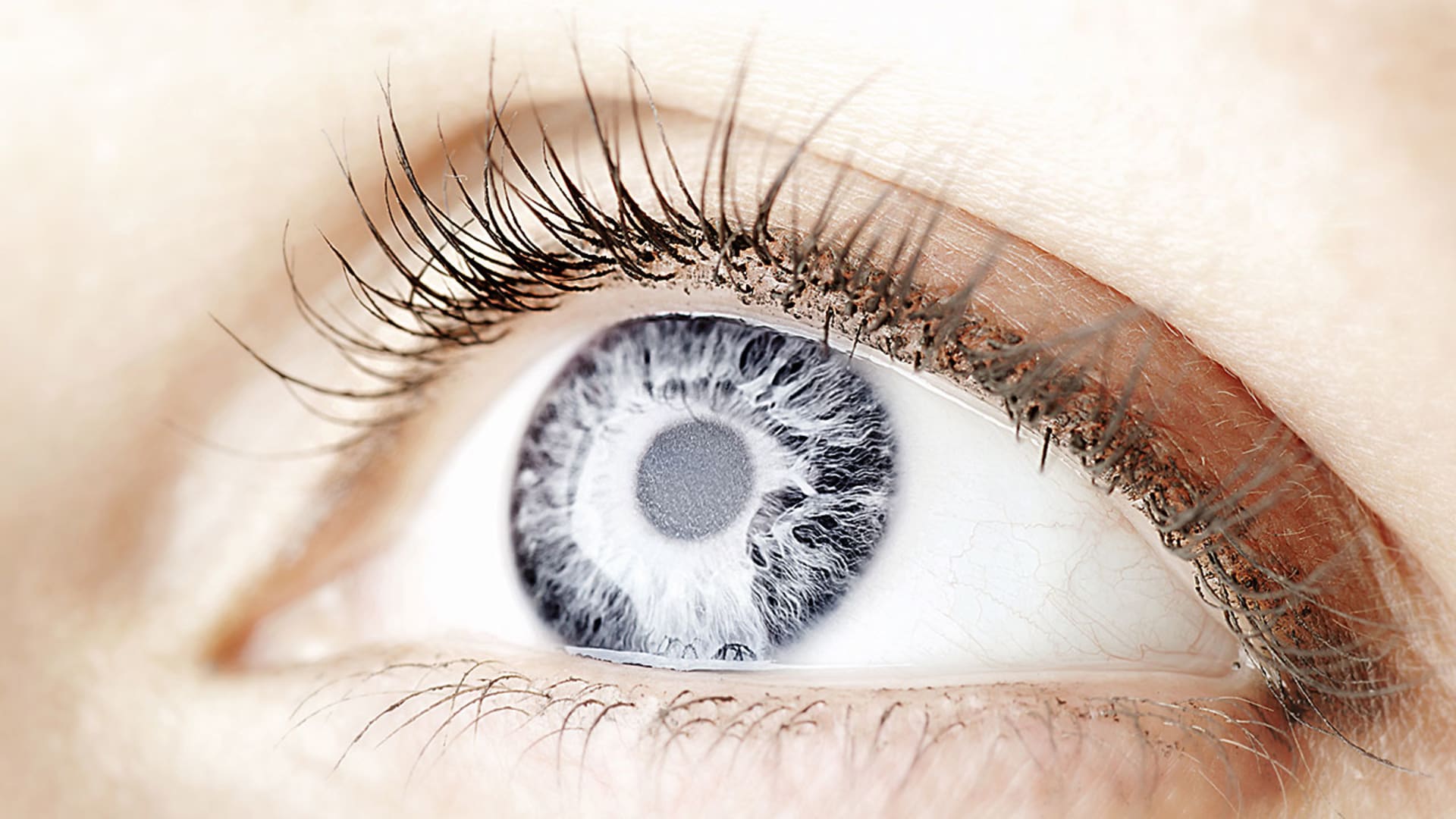 Researchers Have A Vision: Cure Blindness By Regrowing Retinas And Optic Nerves