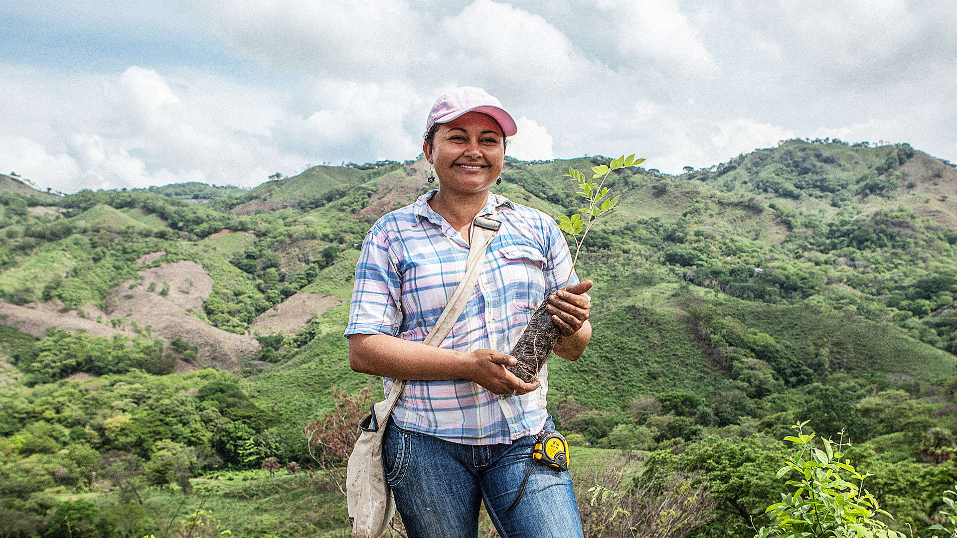 In Nicaragua, Poor Farmers Boost Their By Planting Trees To Soak