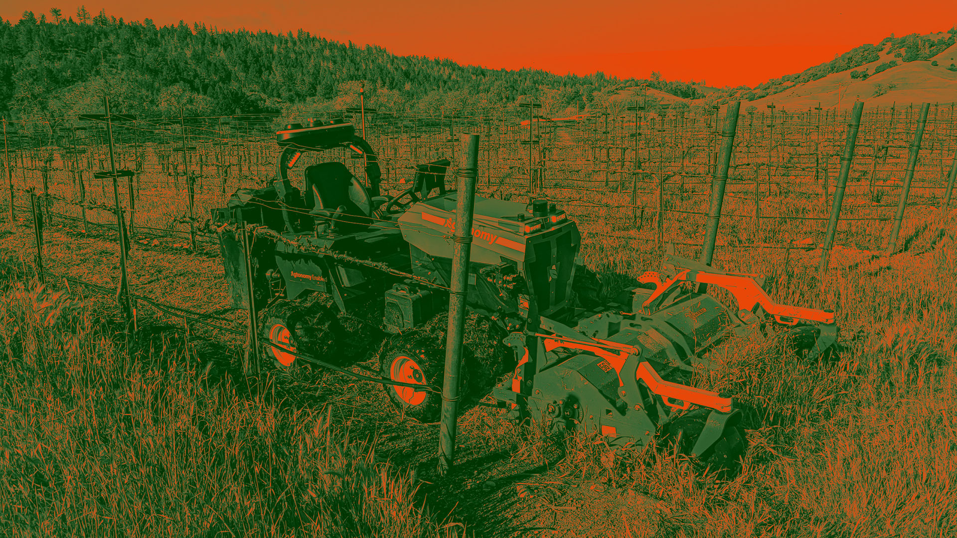 In this California valley, machine vision meets grapevines Fast Company