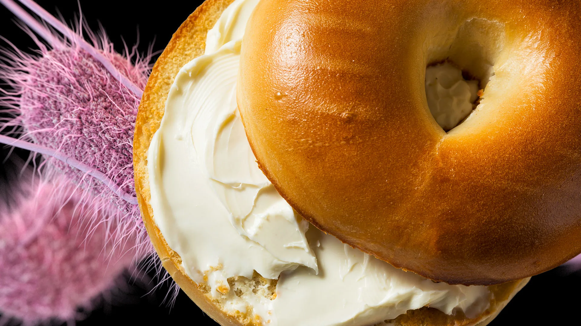 Cream cheese recall list 2024 Salmonella fears hit 11 products Fast