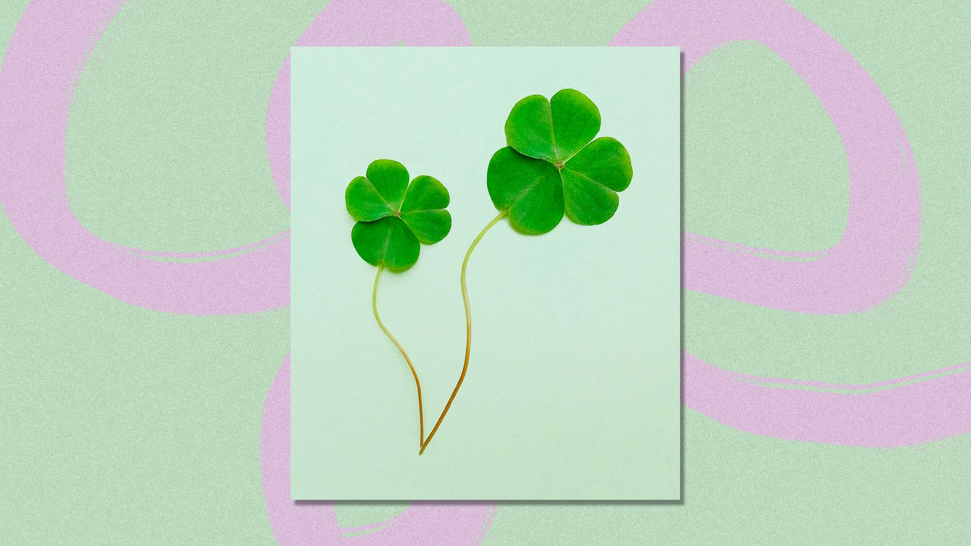 Why luck is the 'great equalizer' for people with bachelor's degrees ...