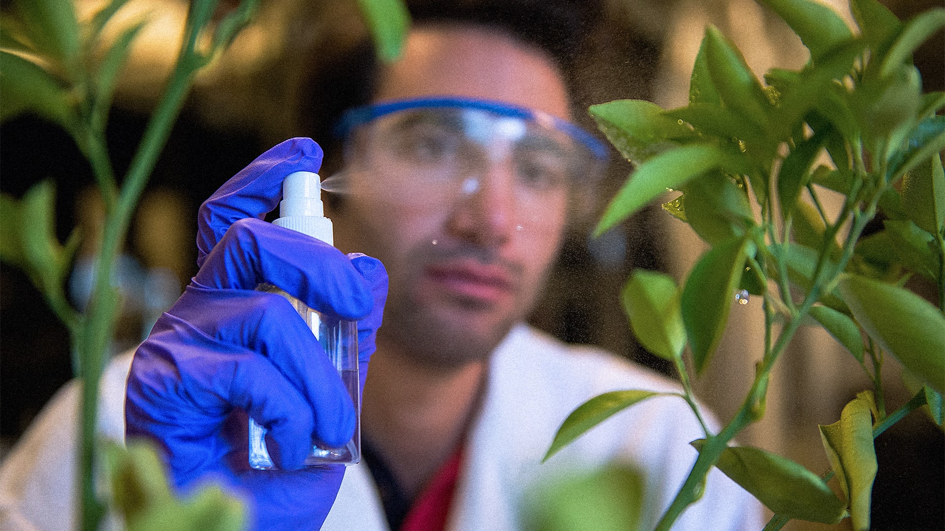 This 27-Year-Old Scientist Has A Fix For Our Pesticide Problem