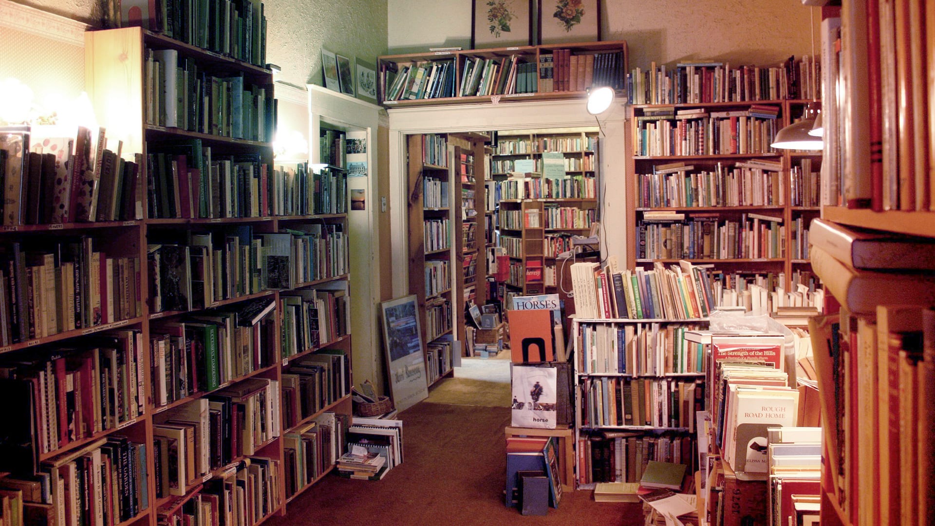 61 amazing independent bookstores worth supporting this holiday season