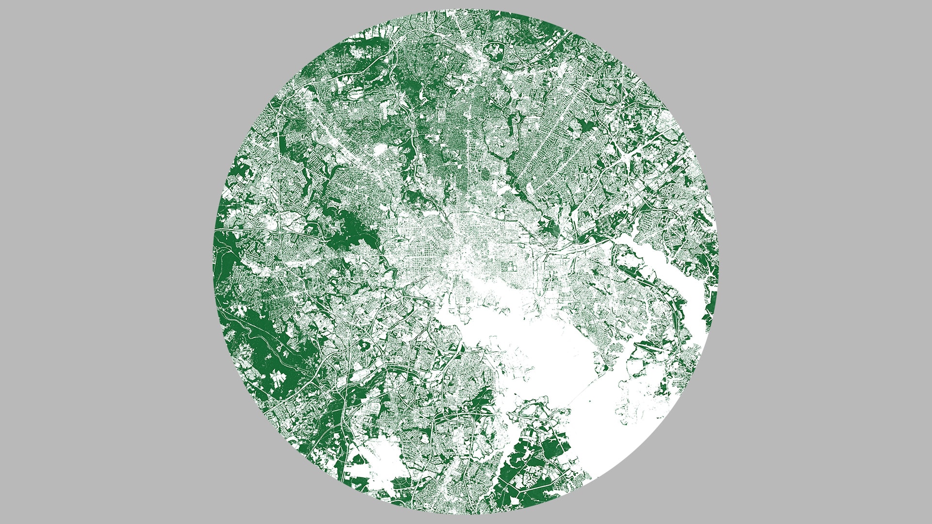 These maps show you every tree in your city
