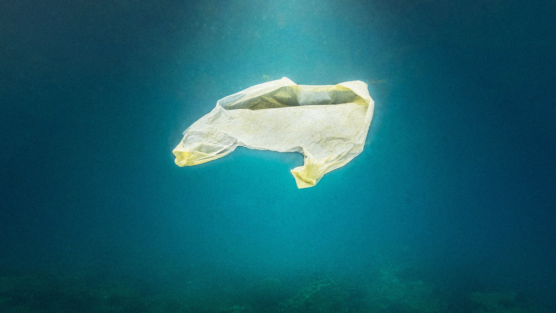 Is the fight against ocean plastic distracting us from bigger, deadlier problems?