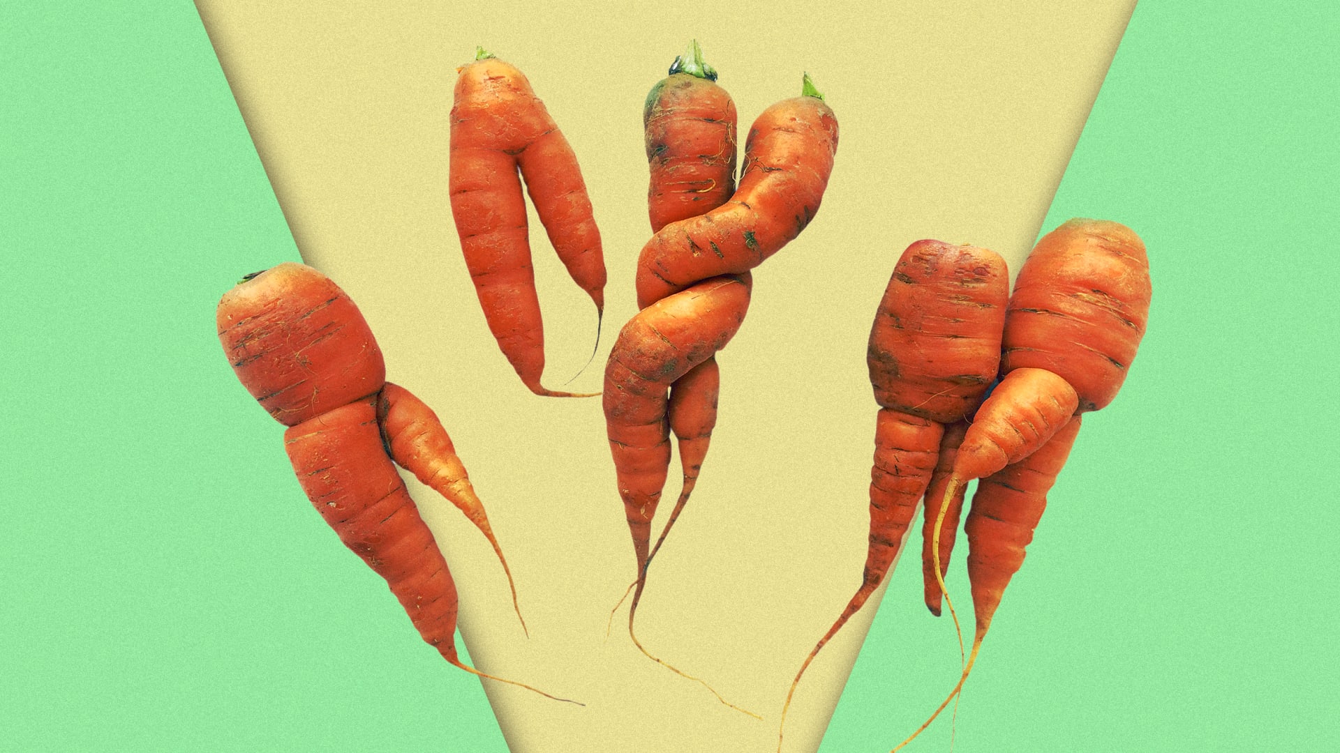 Why we need better, bigger data to help combat food waste