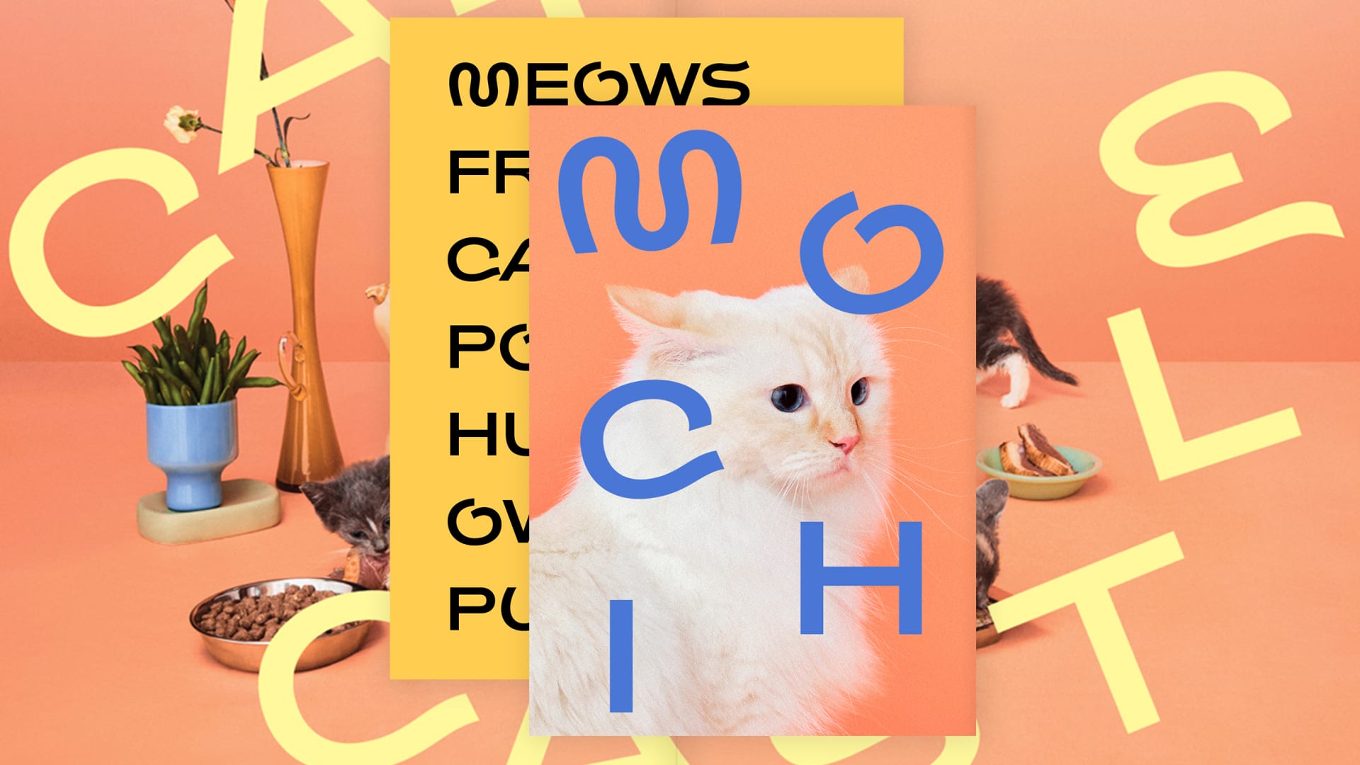 This cat font rules (and dog fonts drool)