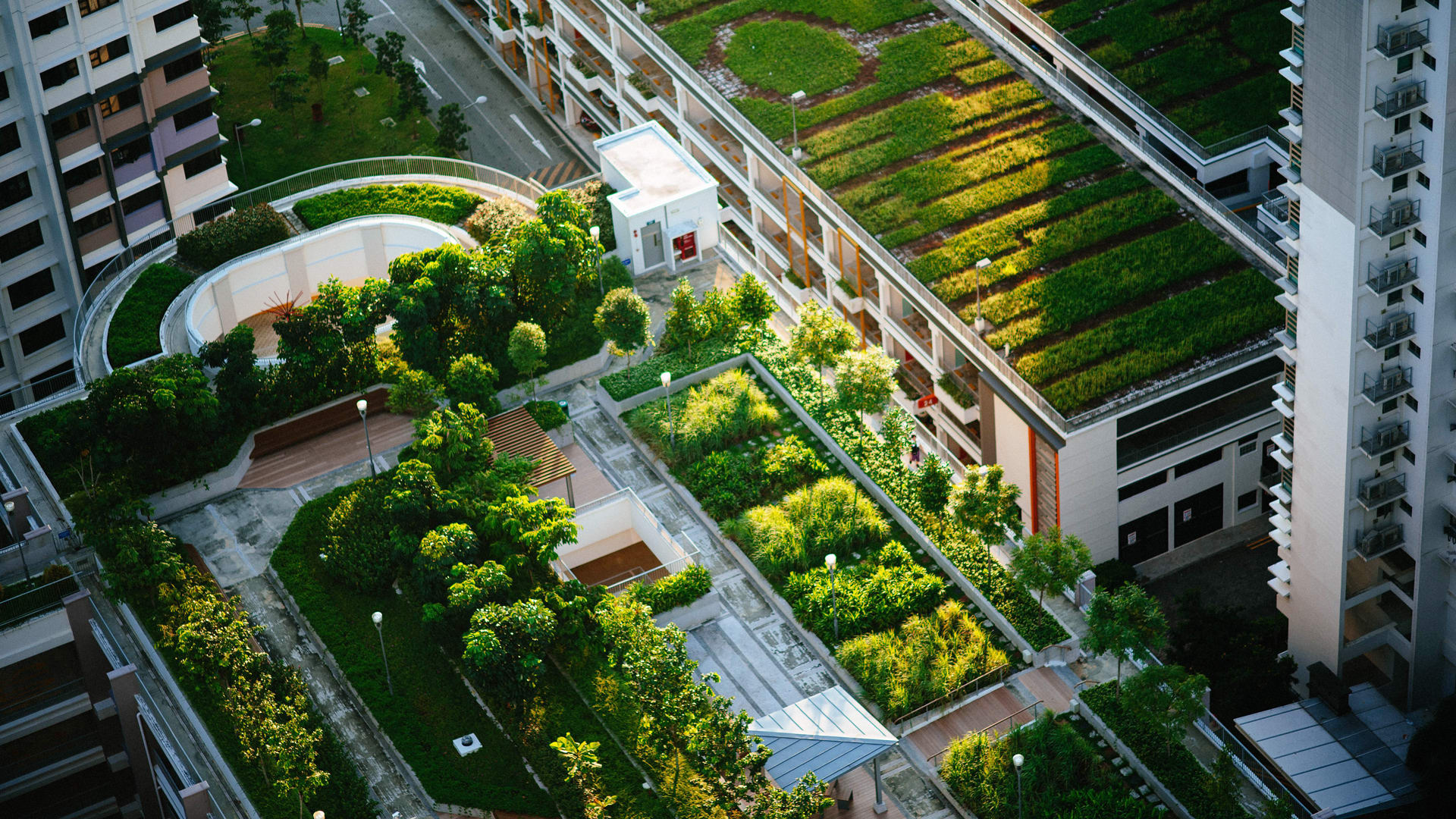 Green roofs can make cities healthier and happier. Why aren’t they everywhere?