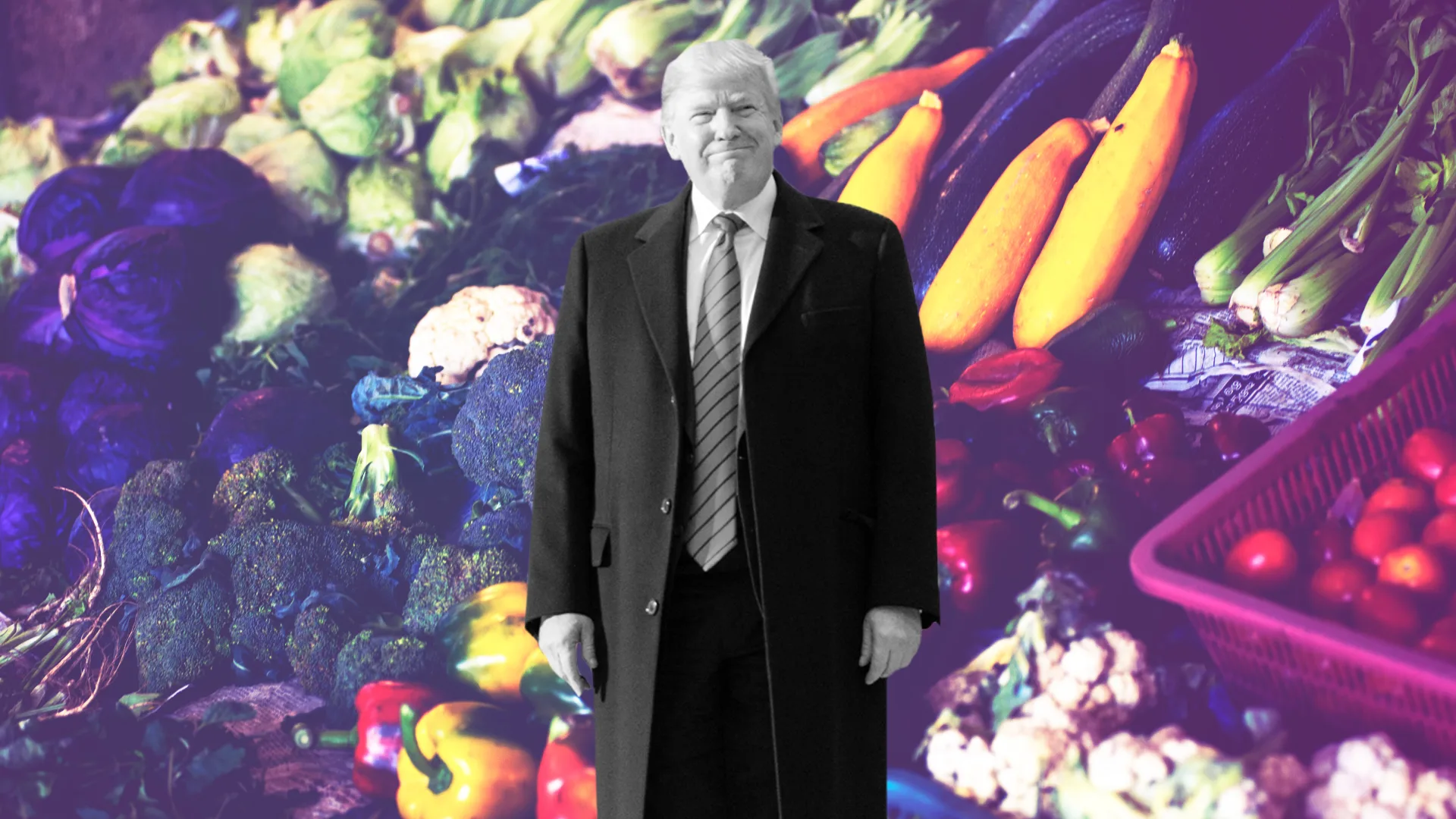 SNAP benefit cuts Here's what you need to know about the Trump