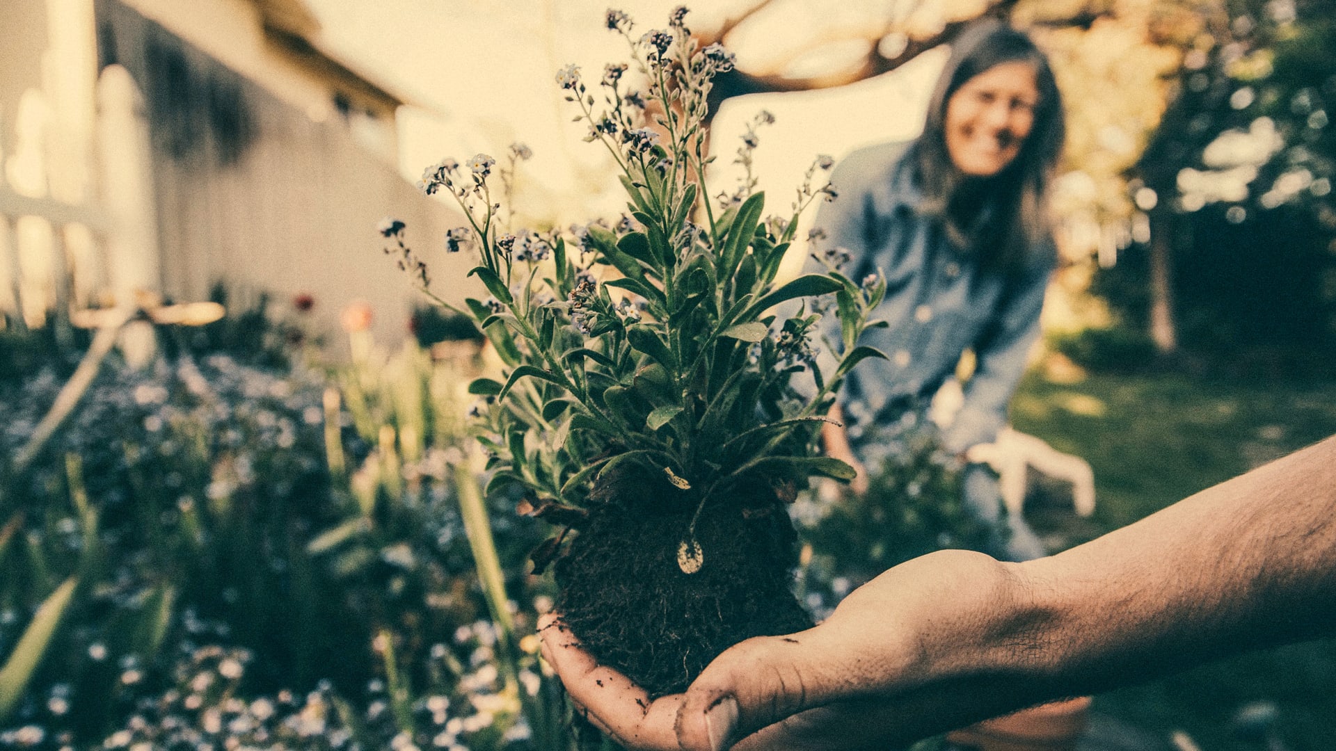 Princeton researchers discover that home gardening is basically the answer to society’s ills