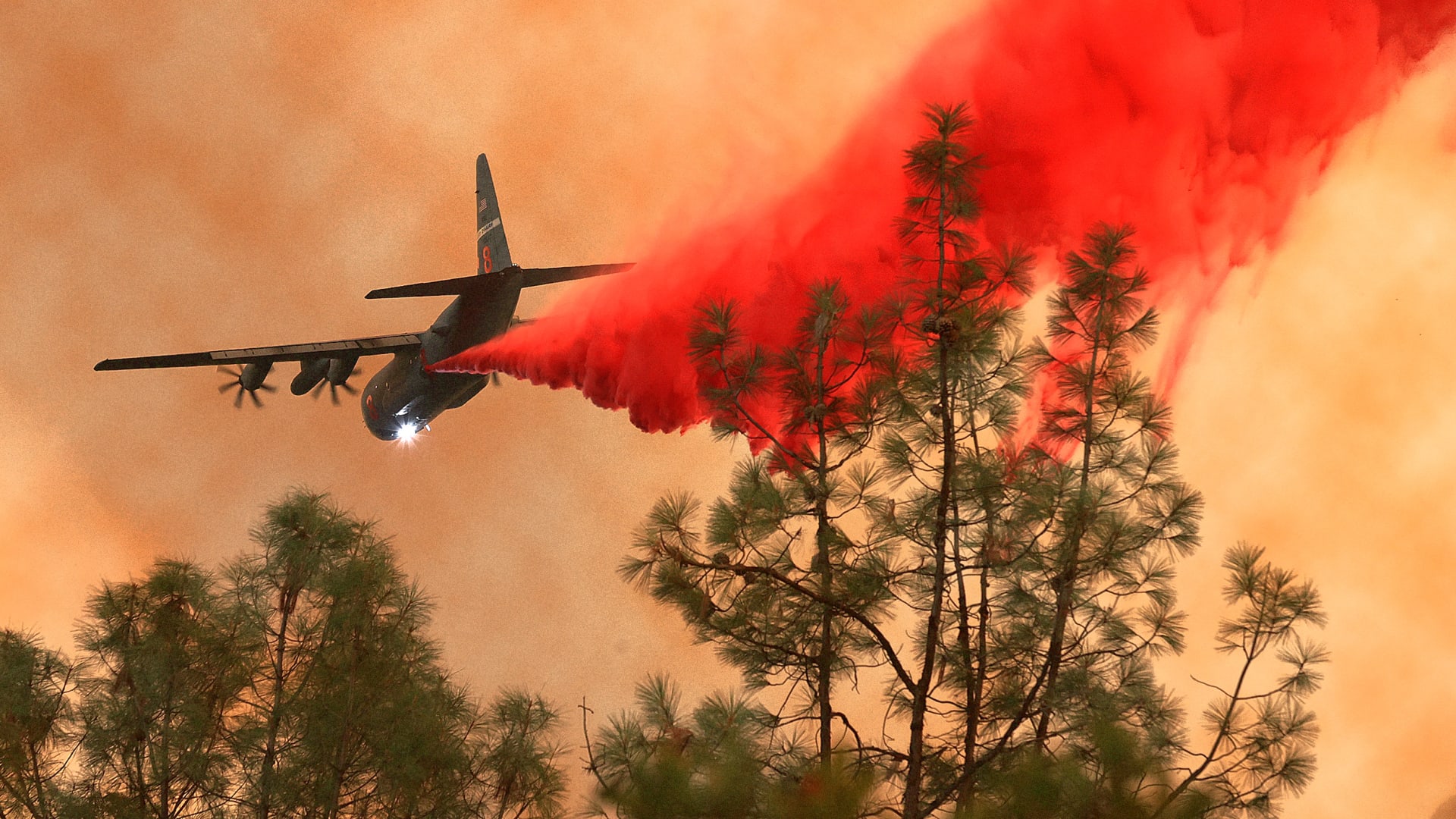 This tool is mapping every tree in California to help stop megafires