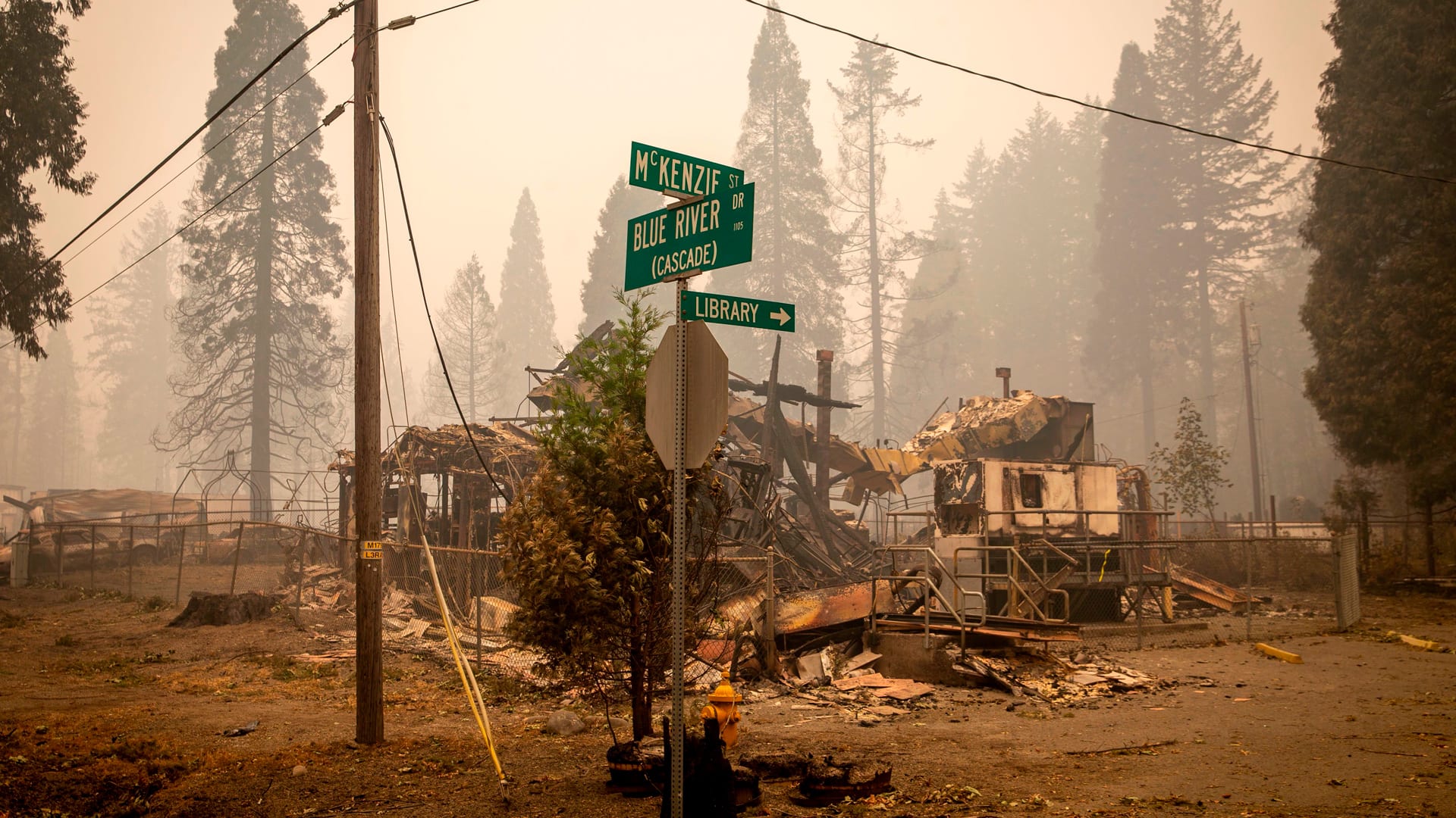 ‘I worked 246 hours in 15 days’: What it’s like to fight wildfires in 2020
