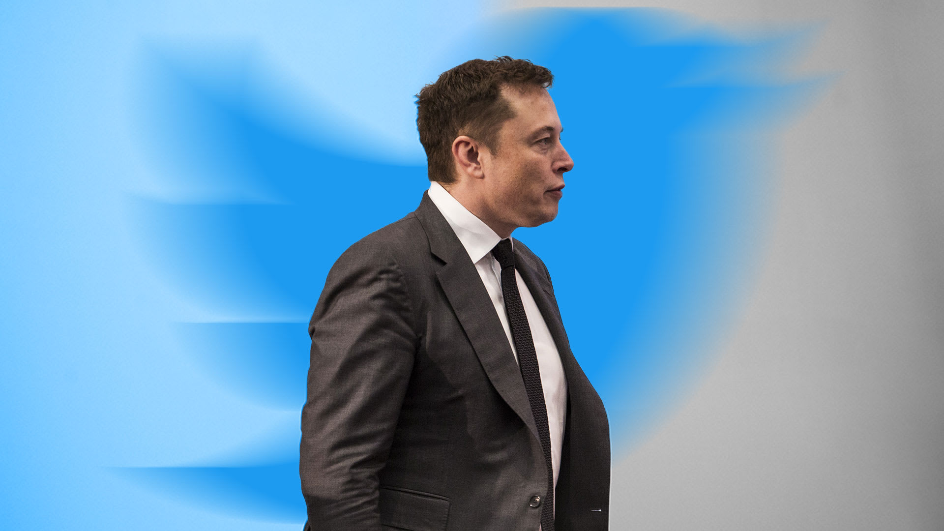 It’s official: Elon Musk doesn’t want to buy Twitter after all