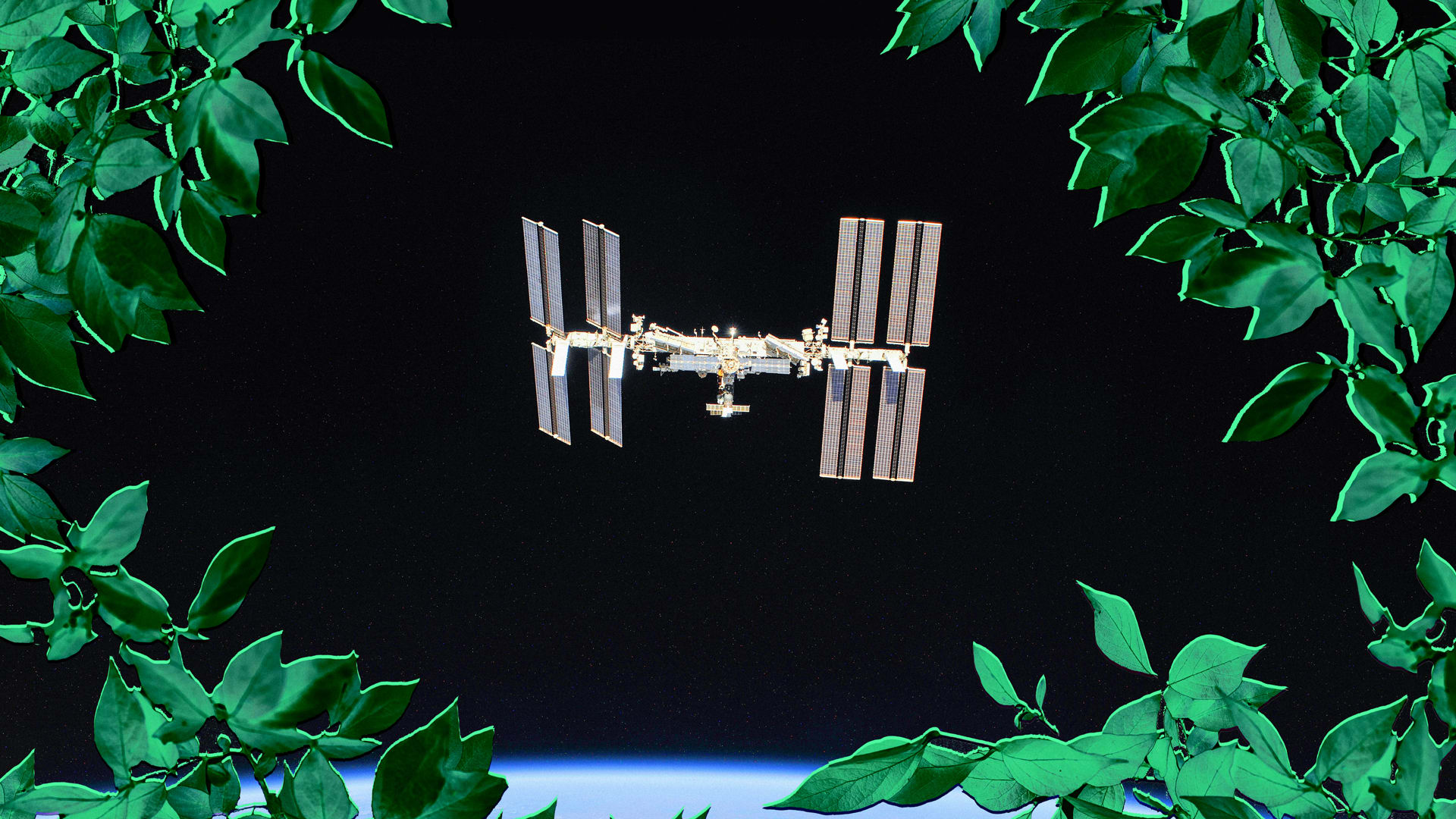 The first commercial greenhouse in space could take flight as soon as 2023