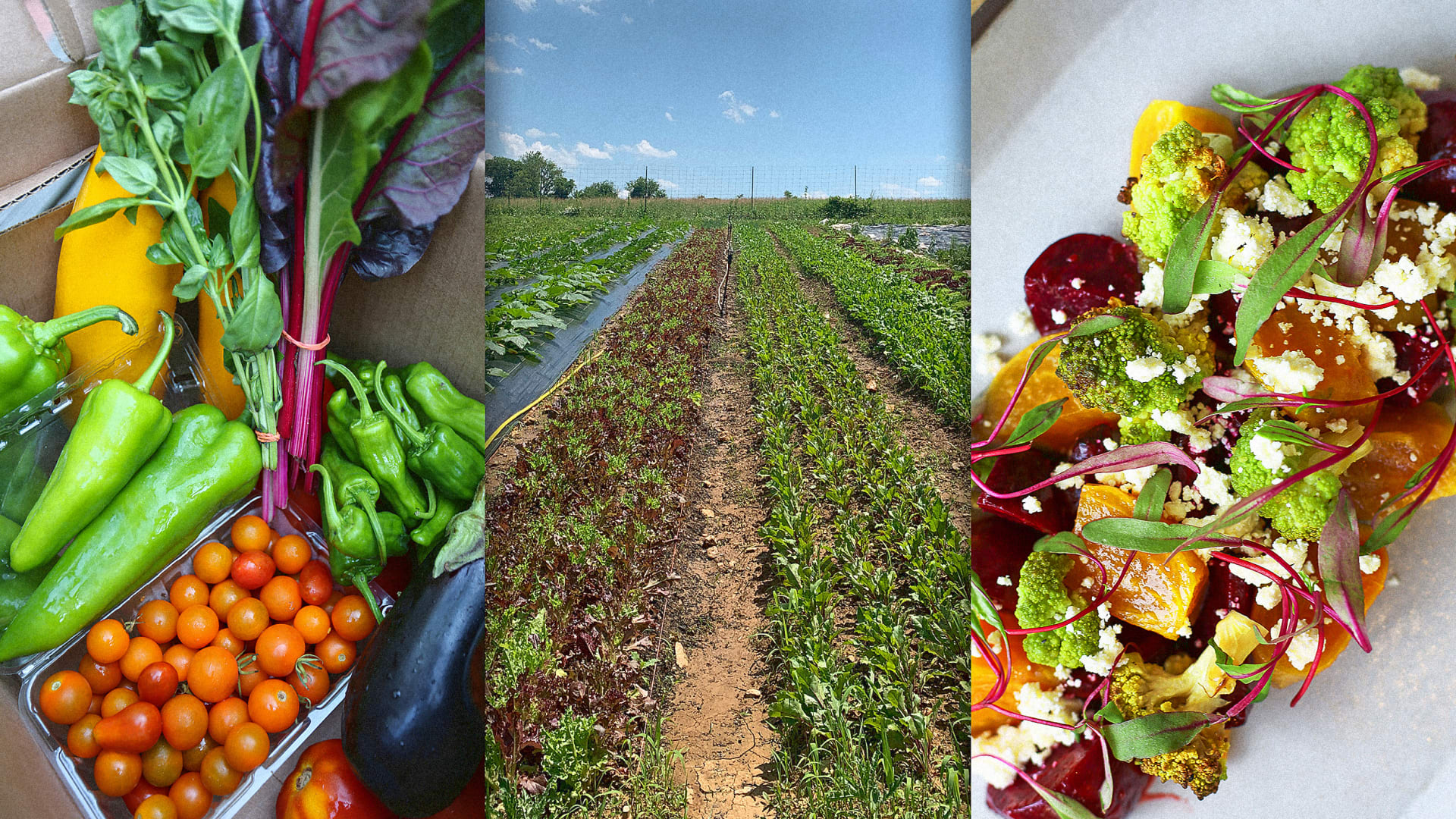 This restaurant group grows 50,000 pounds of seasonal produce on its own regenerative farm