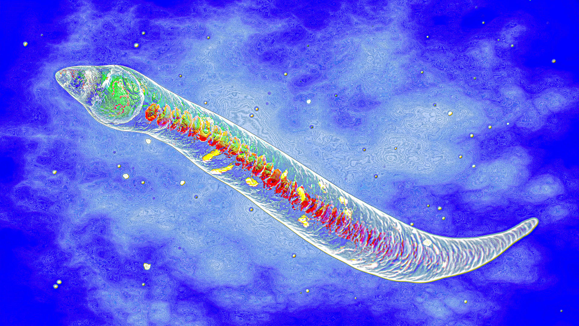 Climate change is killing off parasites. Here's why that's terrible