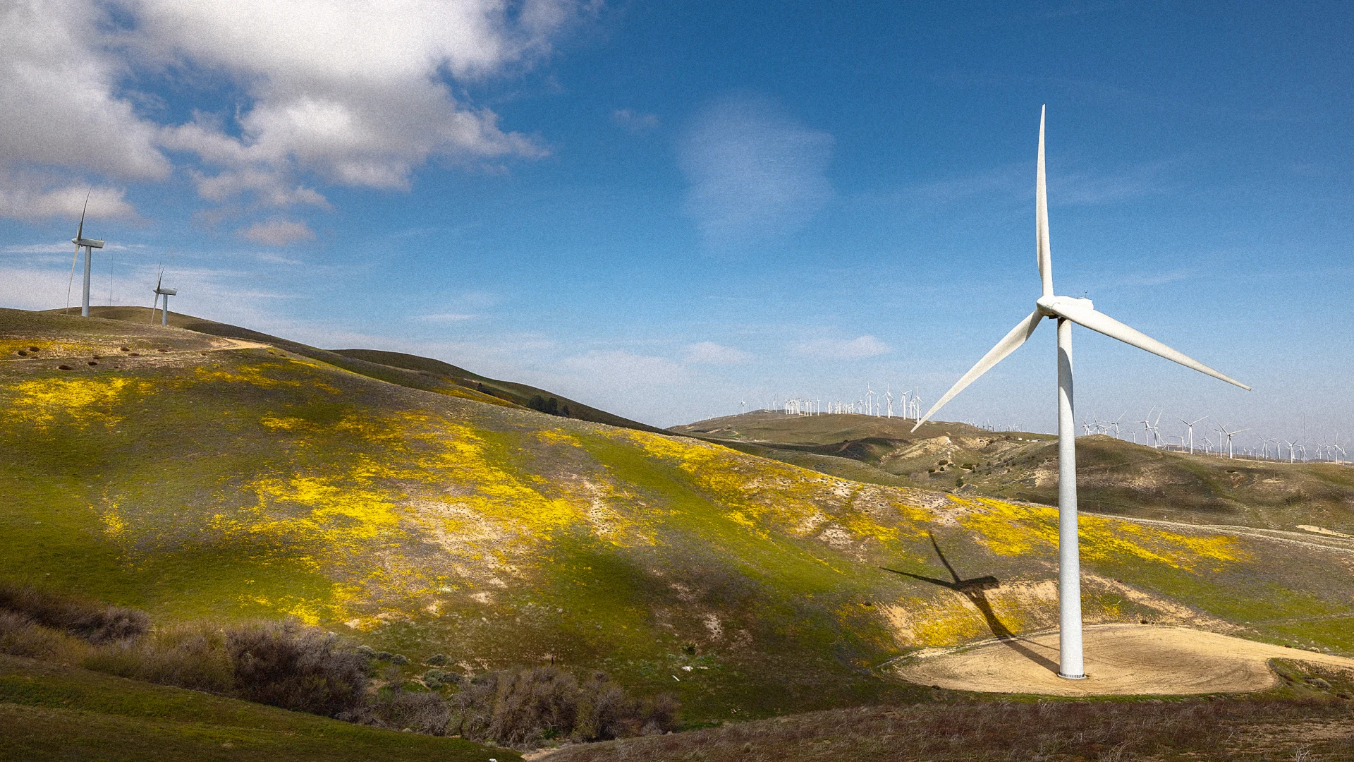 Why wind farms are about to make a comeback