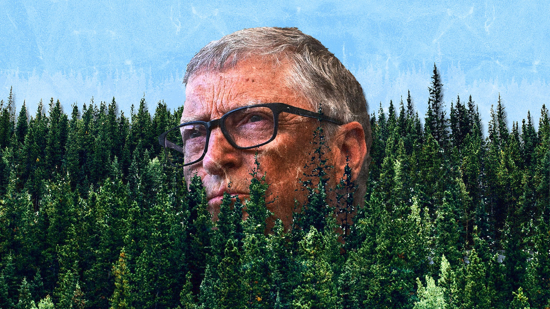 Bill Gates: 'complete nonsense' that planting trees can solve climate ...