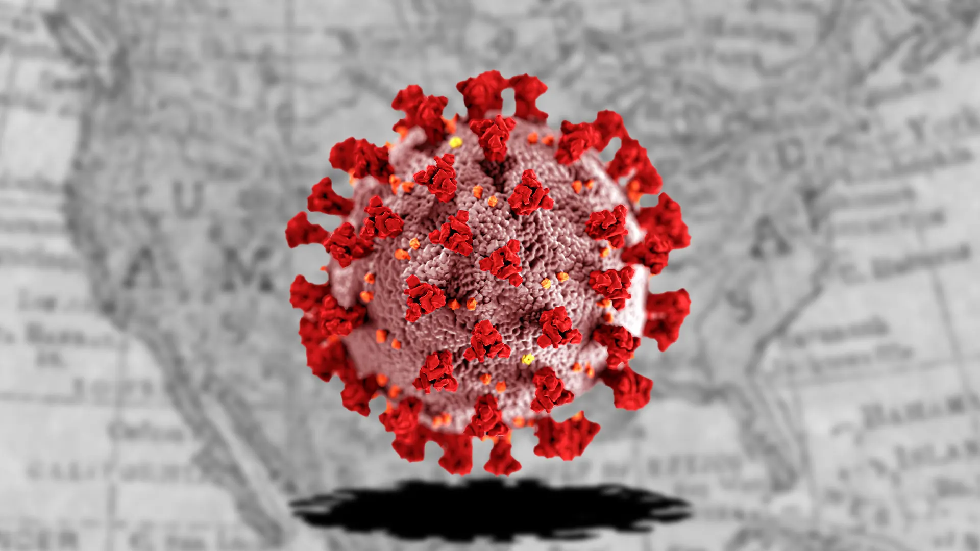JN.1 CDC tracker and map show the spread of the new COVID19 variant