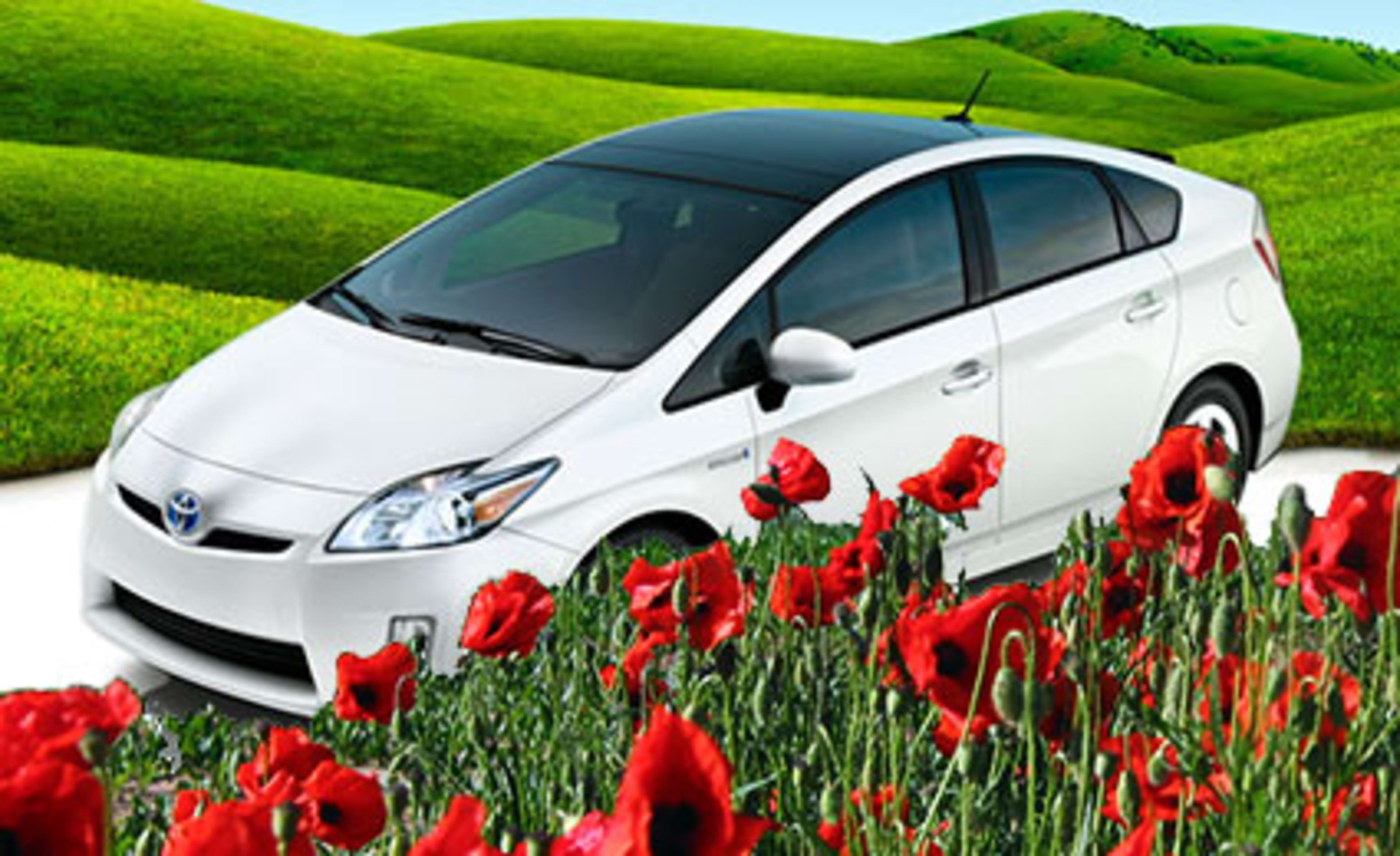 Toyota Creates Its Own Flower Species to Gobble Harmful Gases