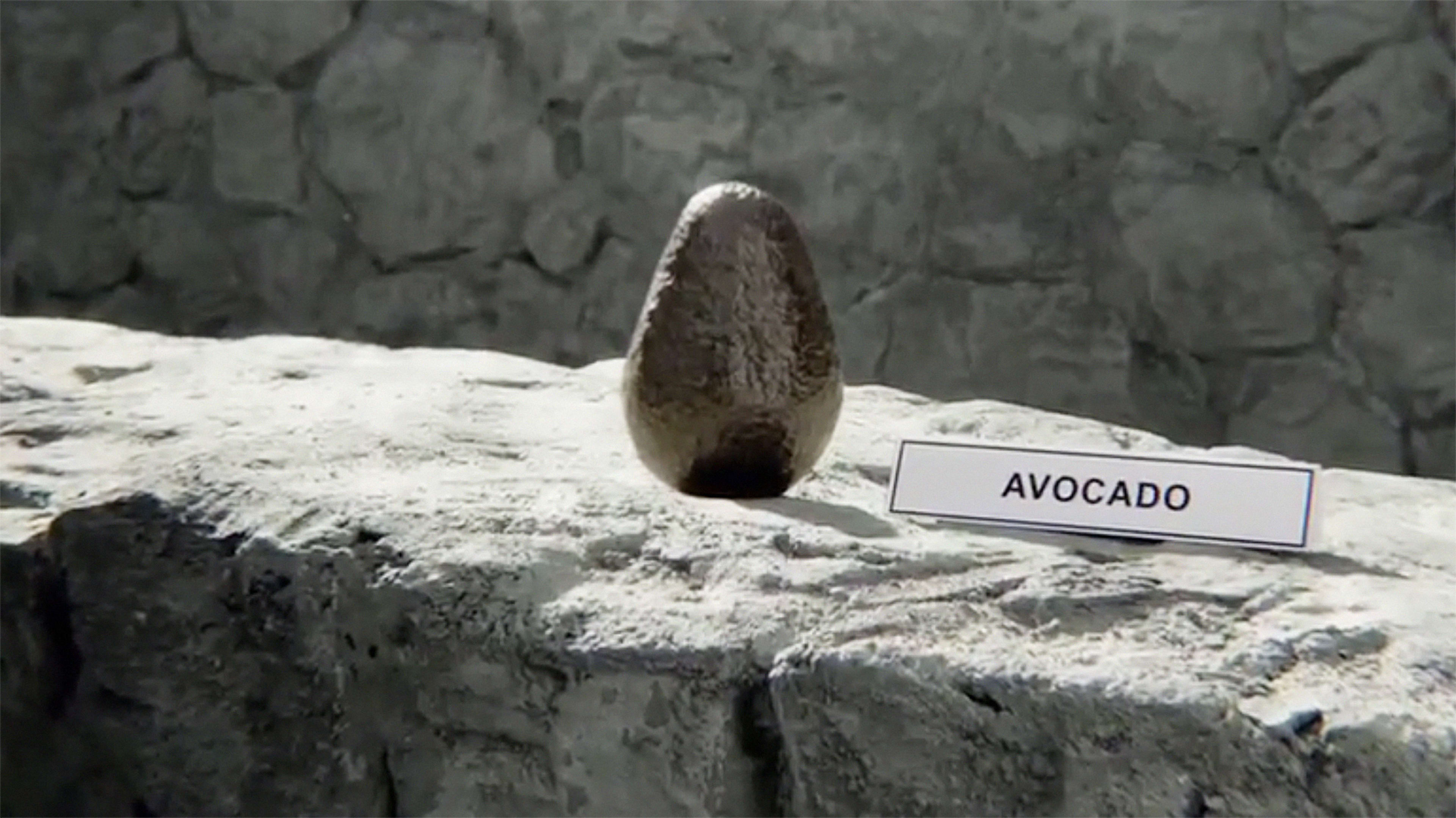 Avocados From Mexico Take A Look At The First Draft Day Ever Fast Company