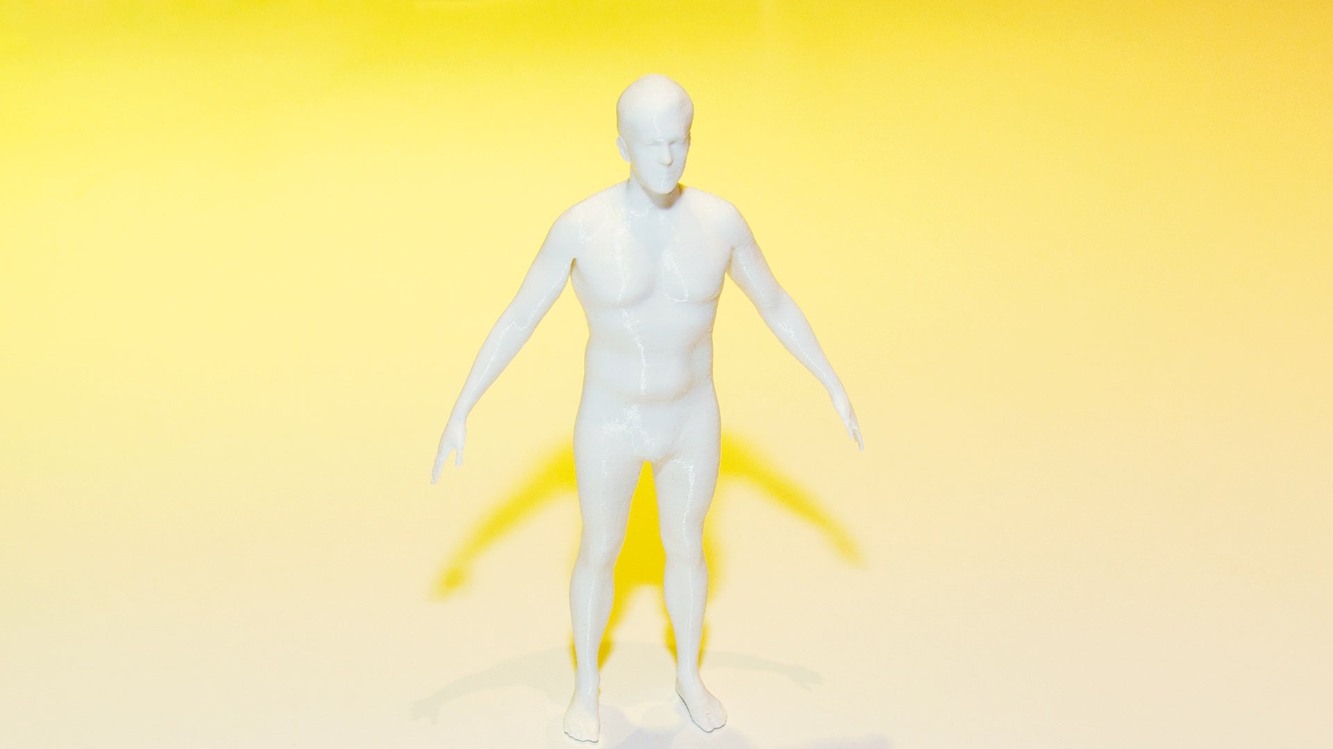 Know Body Lab Model Body Labs Wants To Usher In The Era Of Free 3-D Body Scanning - Fast ...