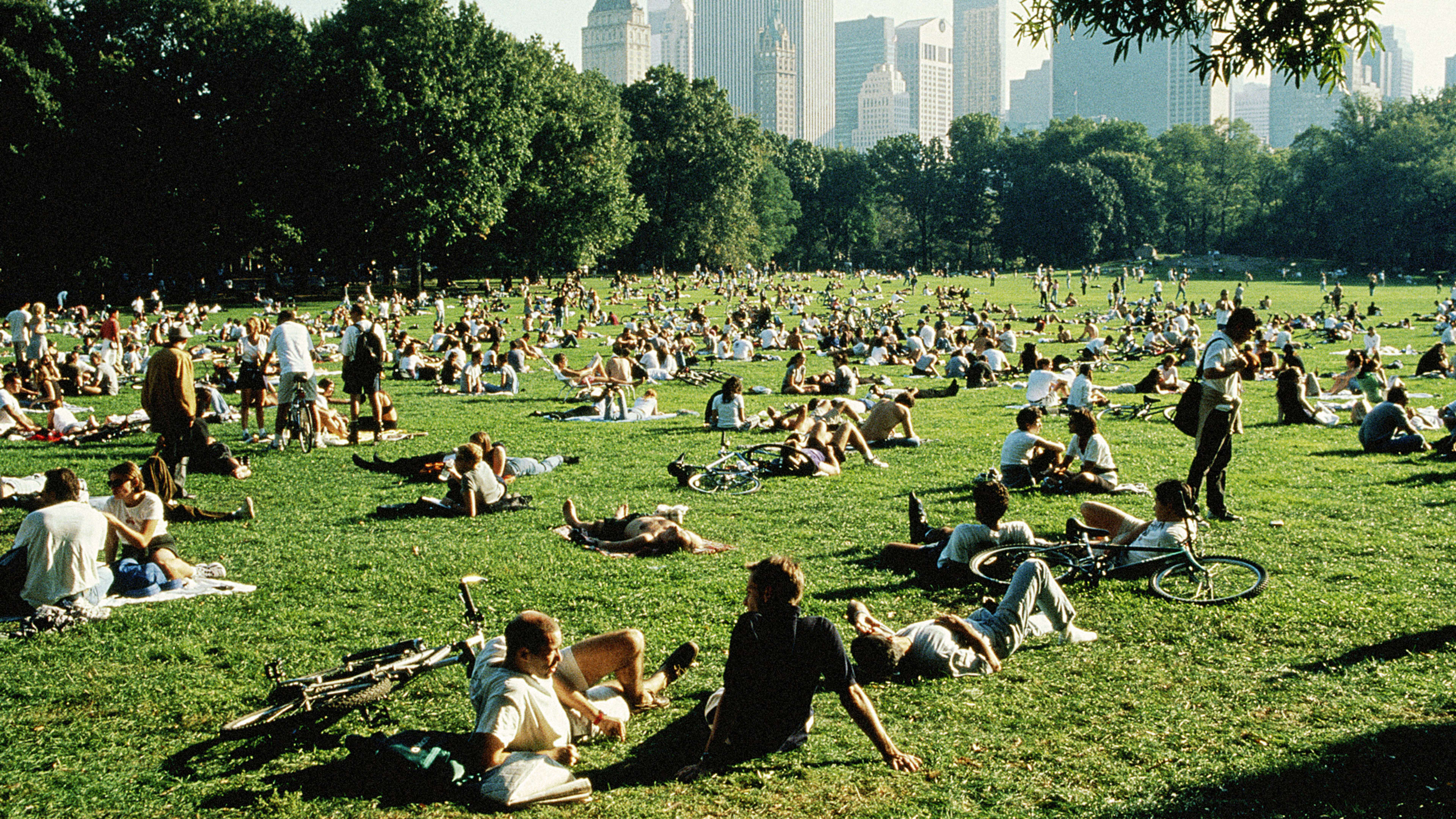 Do Green Spaces In Cities Help Close “Well-Being Gaps” Between Rich And Poor?