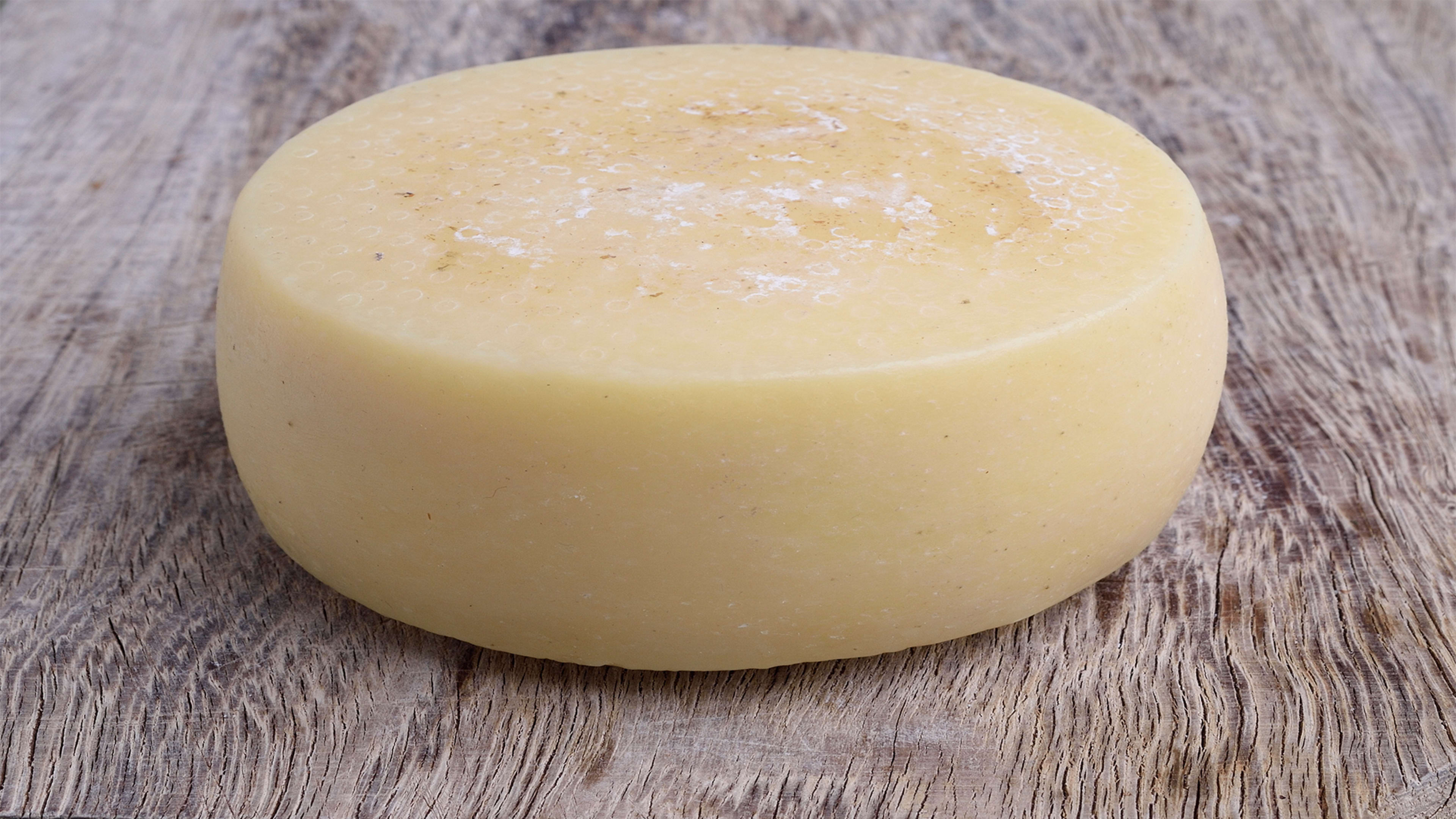 You Can Make Cheese Out Of Human Bacteria, Just In Case You Were Wondering