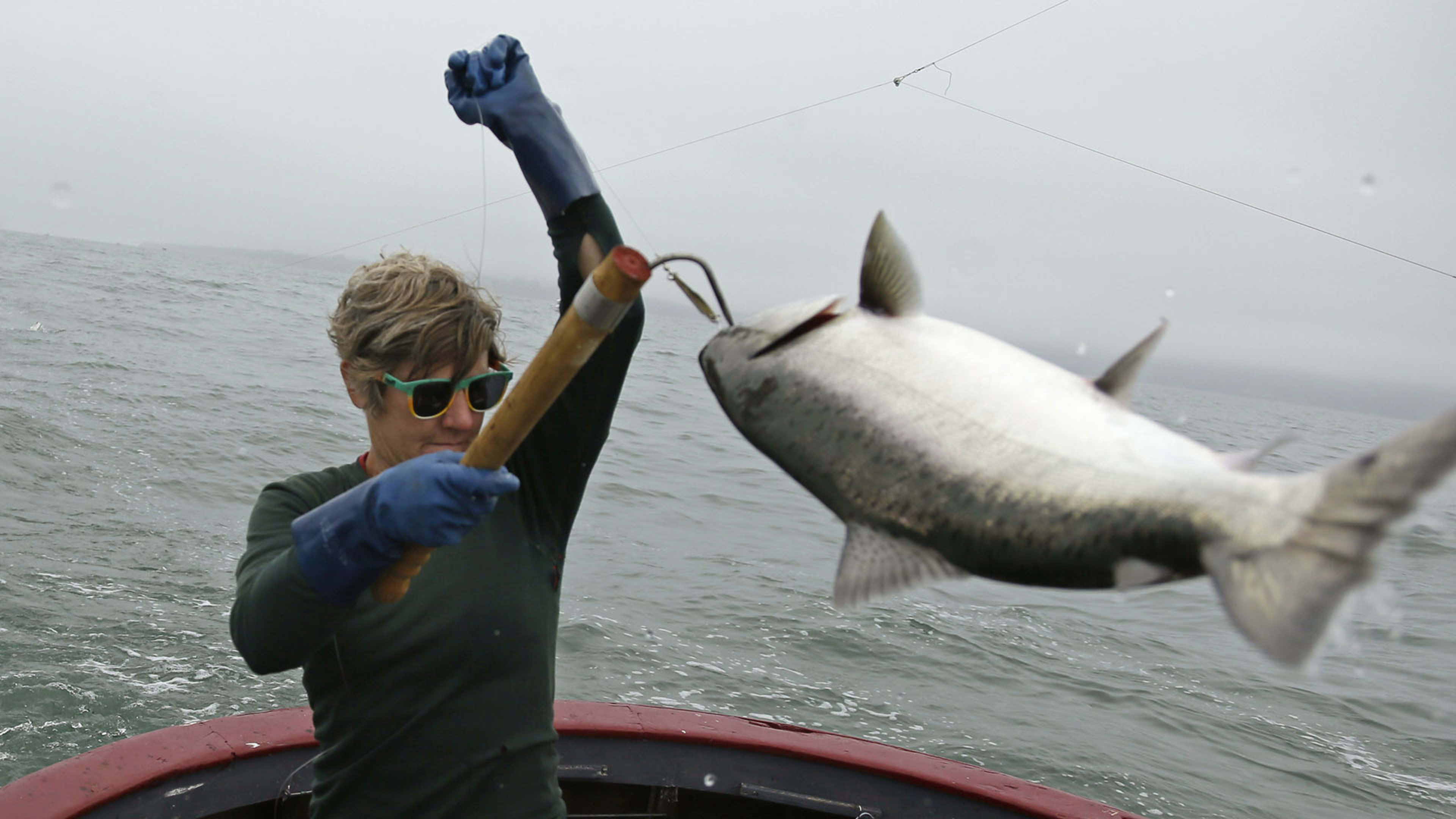 California bans salmon fishing for second year in a row