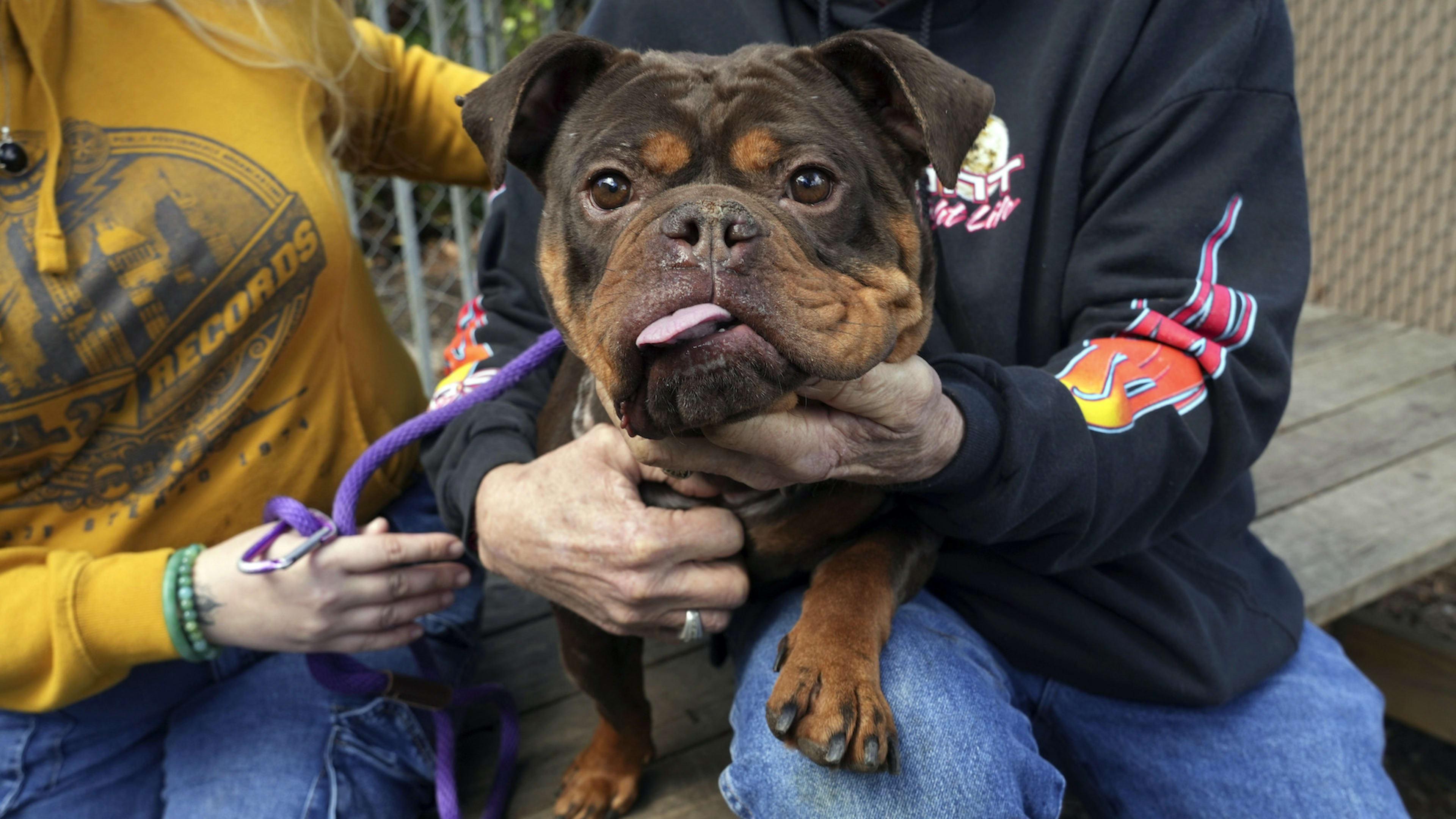 California renters with pets A new bill might ban blanket no pets