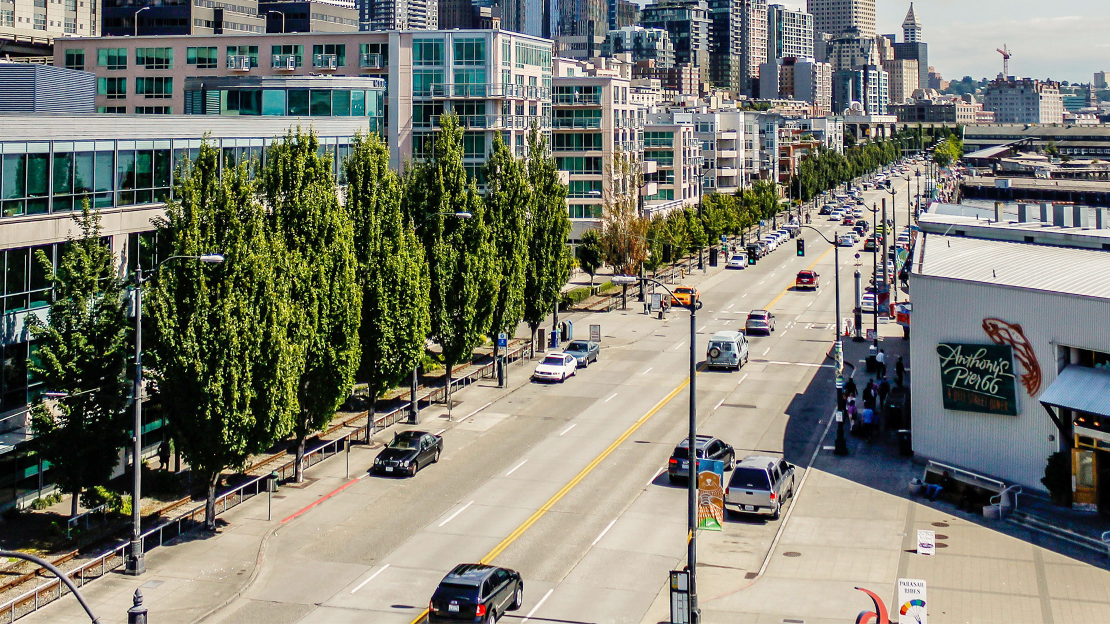 Cities Should Think About Trees As Public Health Infrastructure