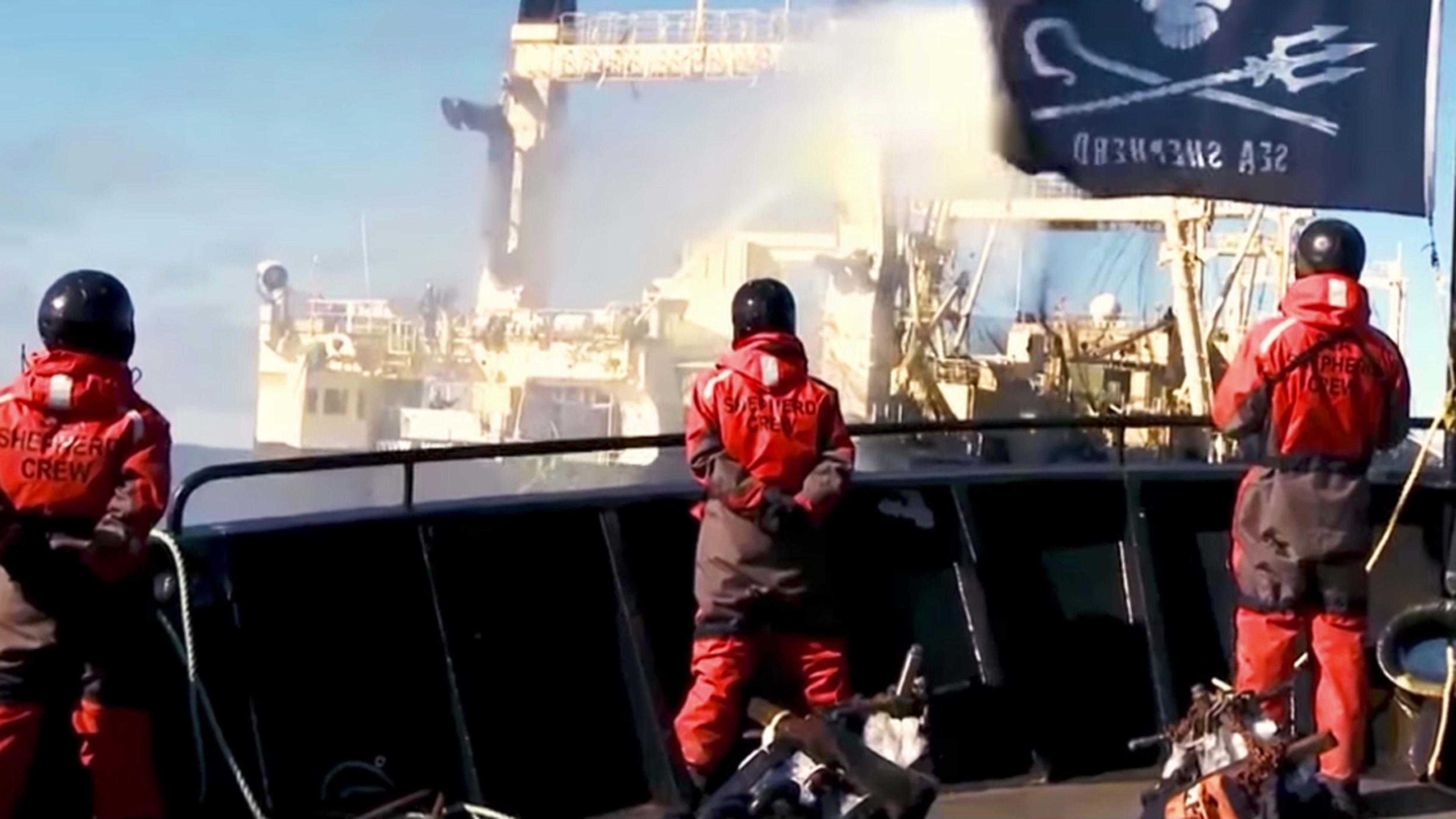 A Sea Shepherd Documentary Created By Two Unlikely Partners